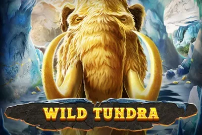 LUCKY88 Wild Tundra